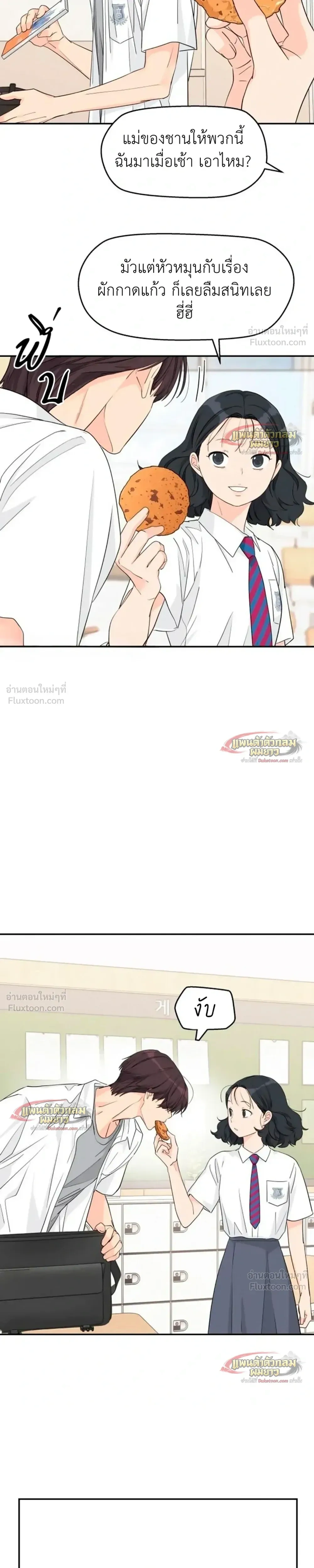 หน้าที่ 17