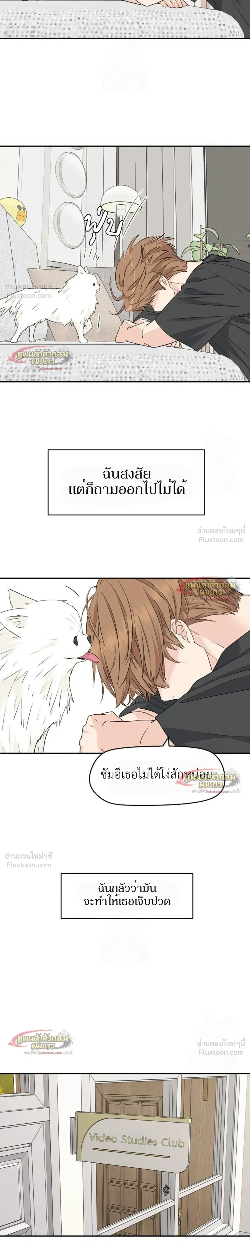 หน้าที่ 8