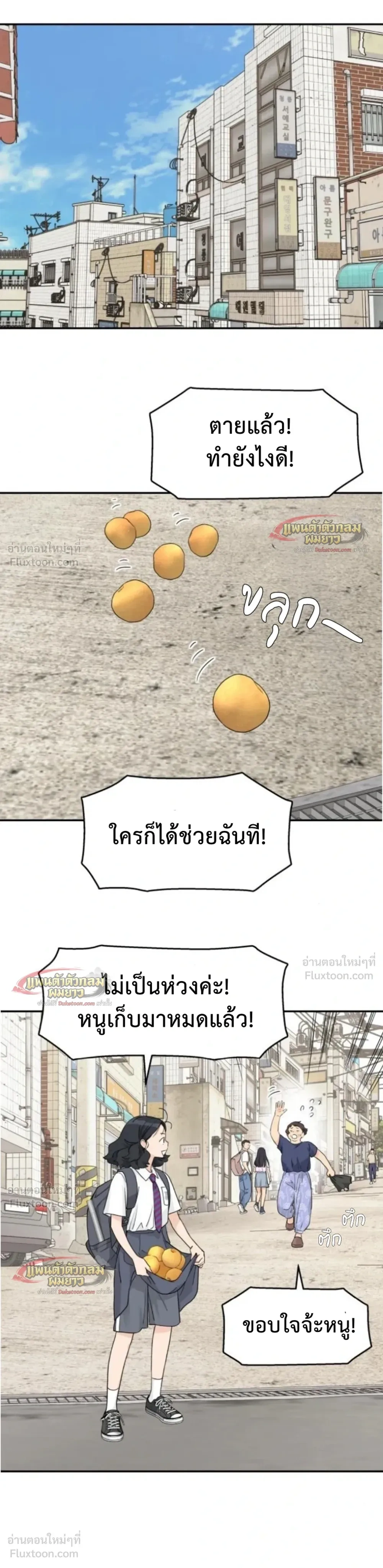 หน้าที่ 13