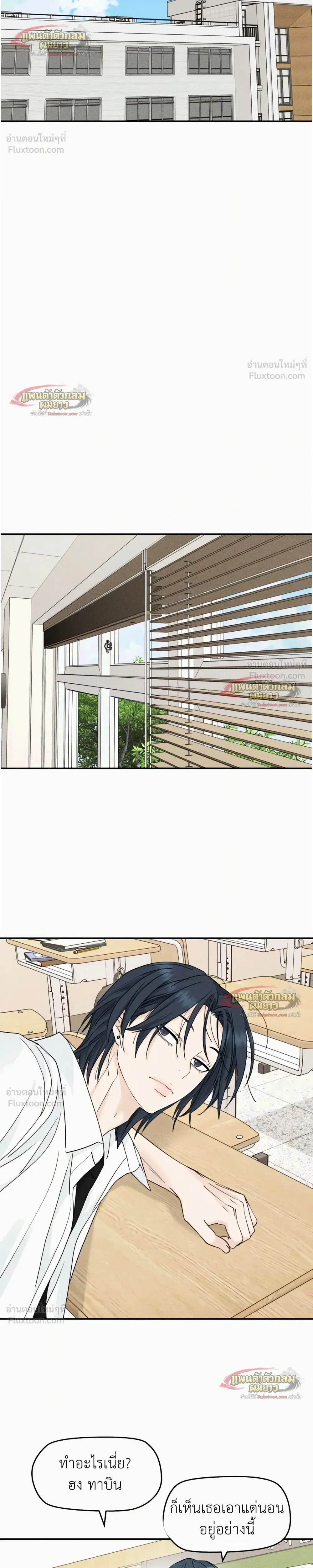 หน้าที่ 17