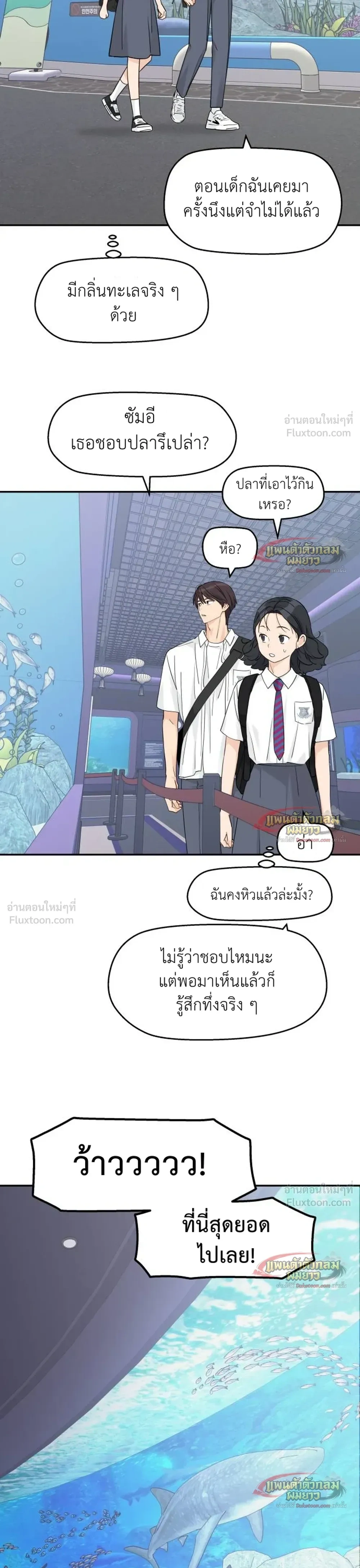 หน้าที่ 13