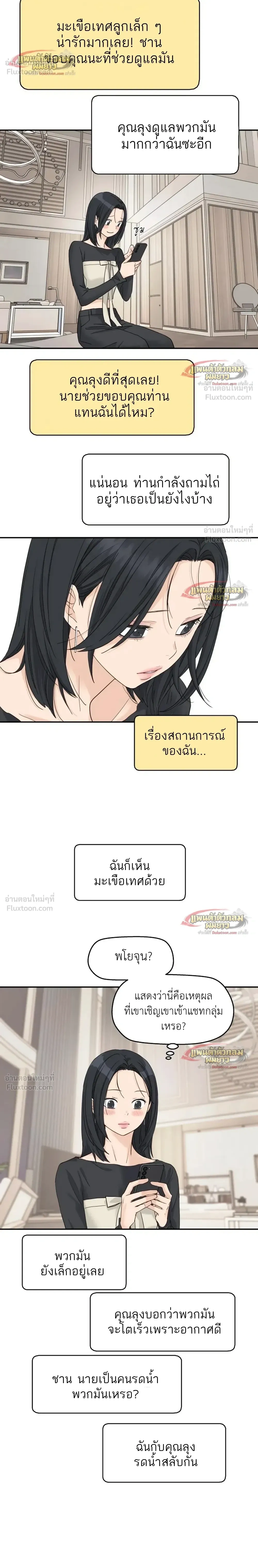 หน้าที่ 19