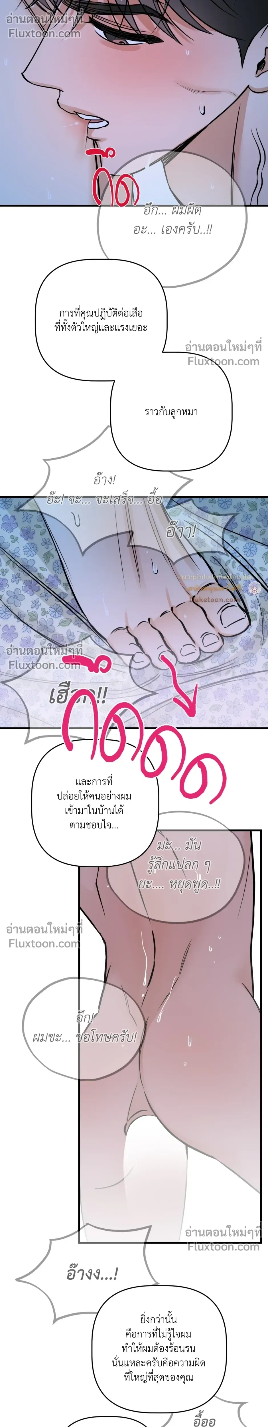 หน้าที่ 20