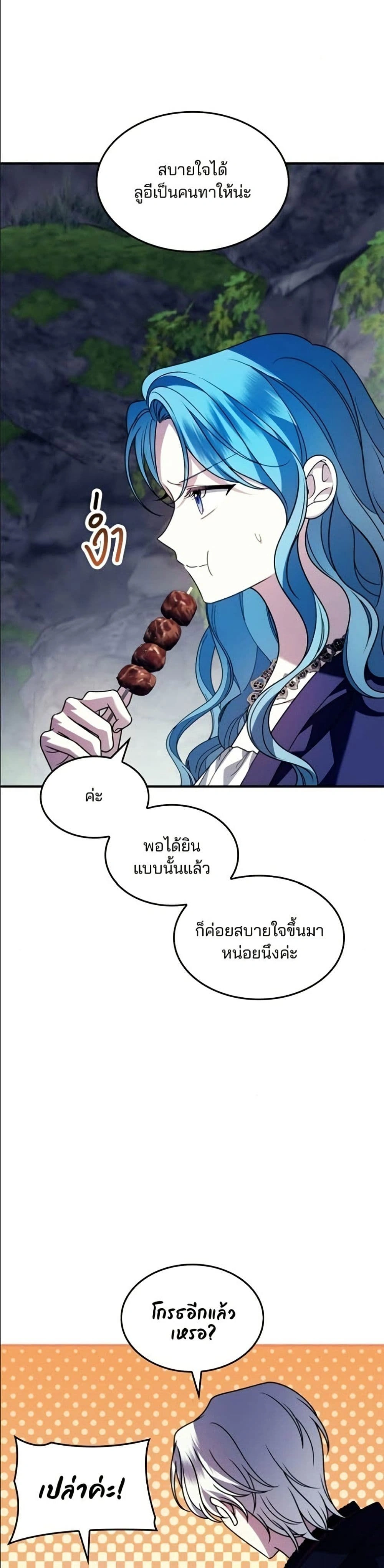 หน้าที่ 29