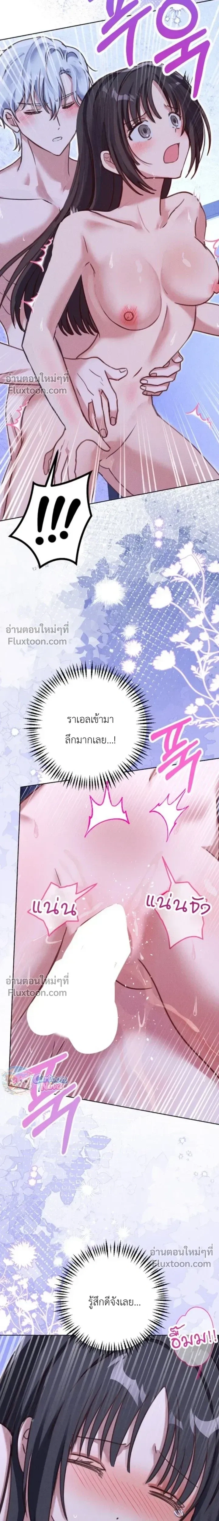 หน้าที่ 13