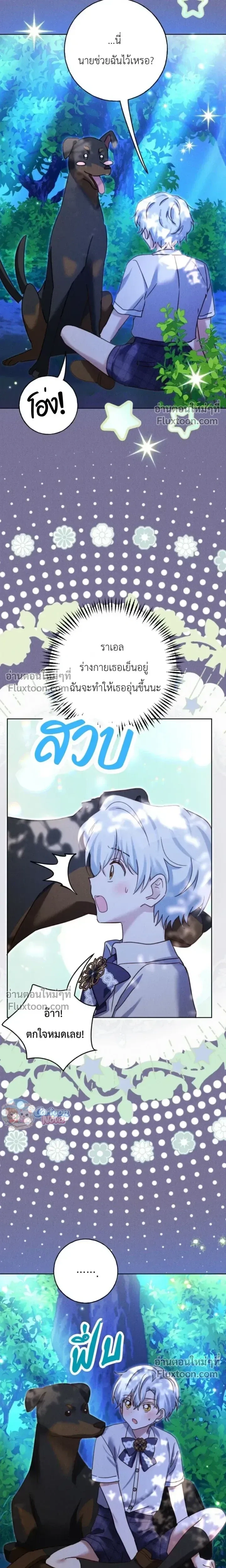 หน้าที่ 13