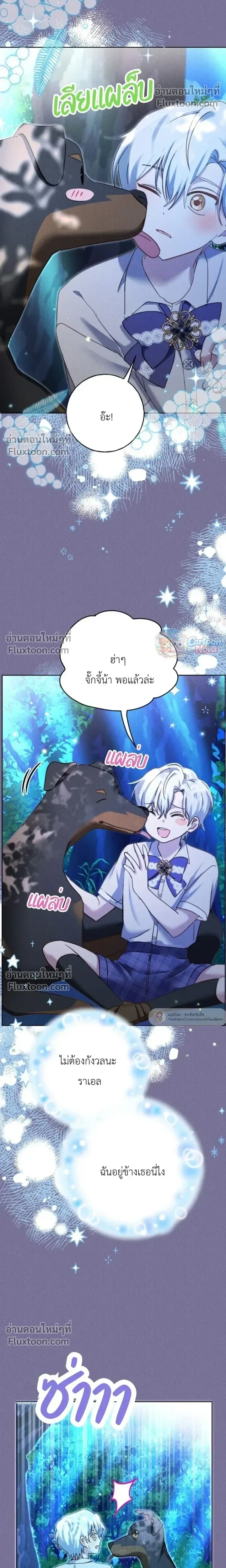 หน้าที่ 17