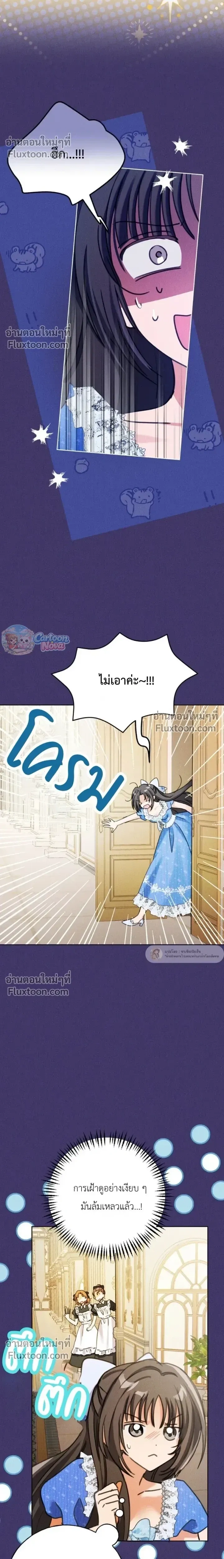 หน้าที่ 17