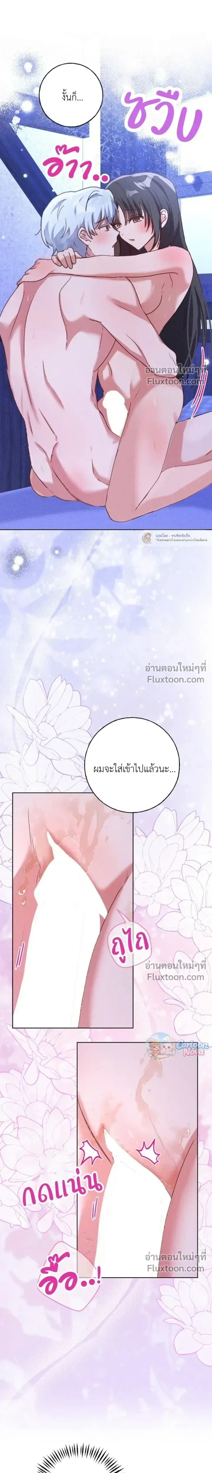 หน้าที่ 13