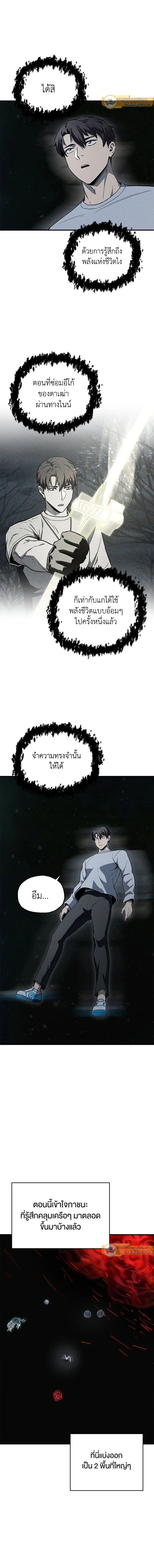 หน้าที่ 13