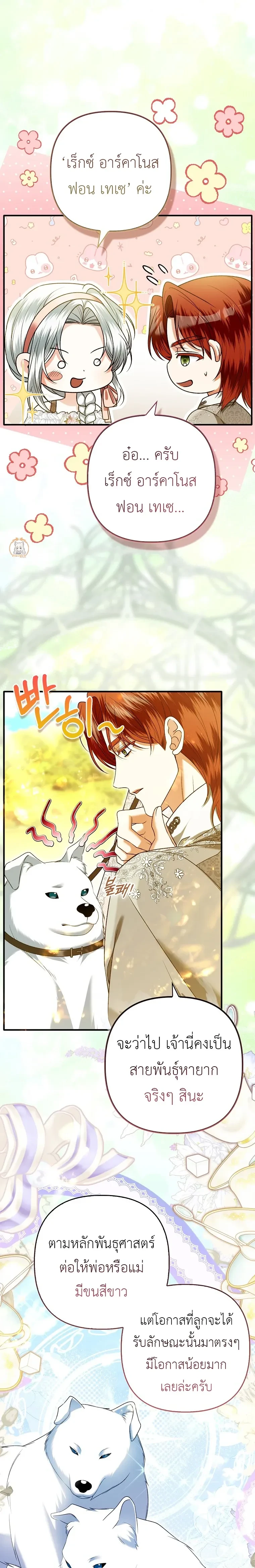 หน้าที่ 13