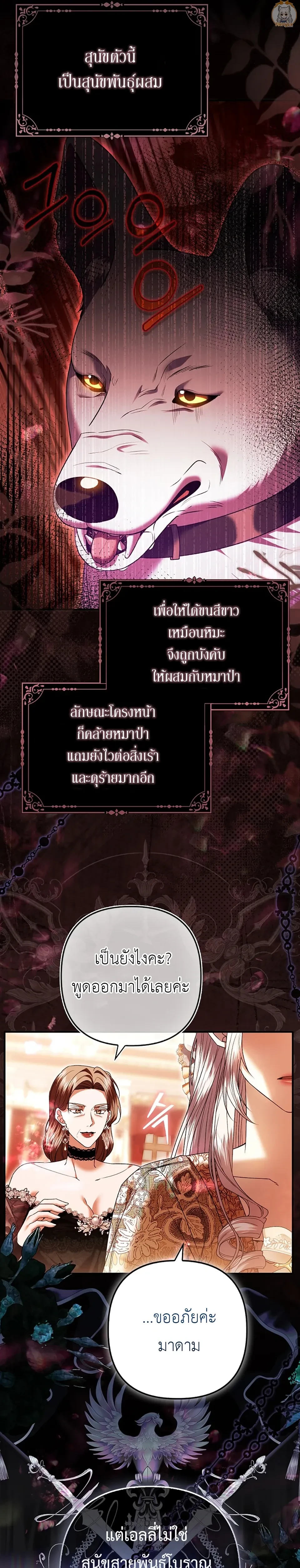 หน้าที่ 5