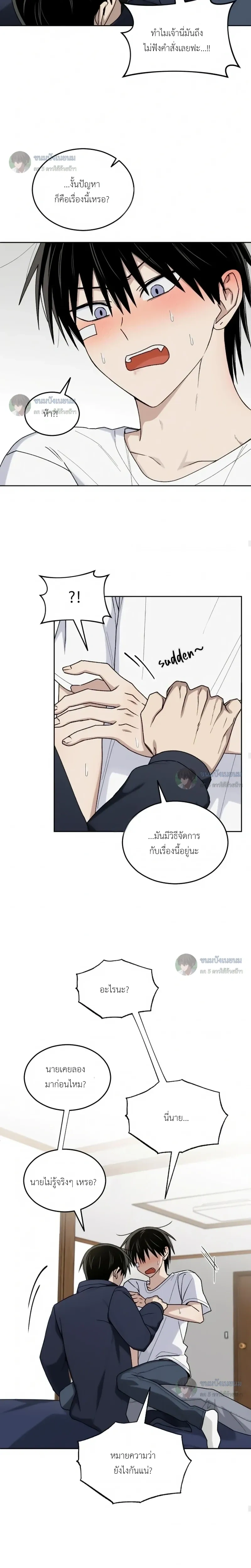 หน้าที่ 17