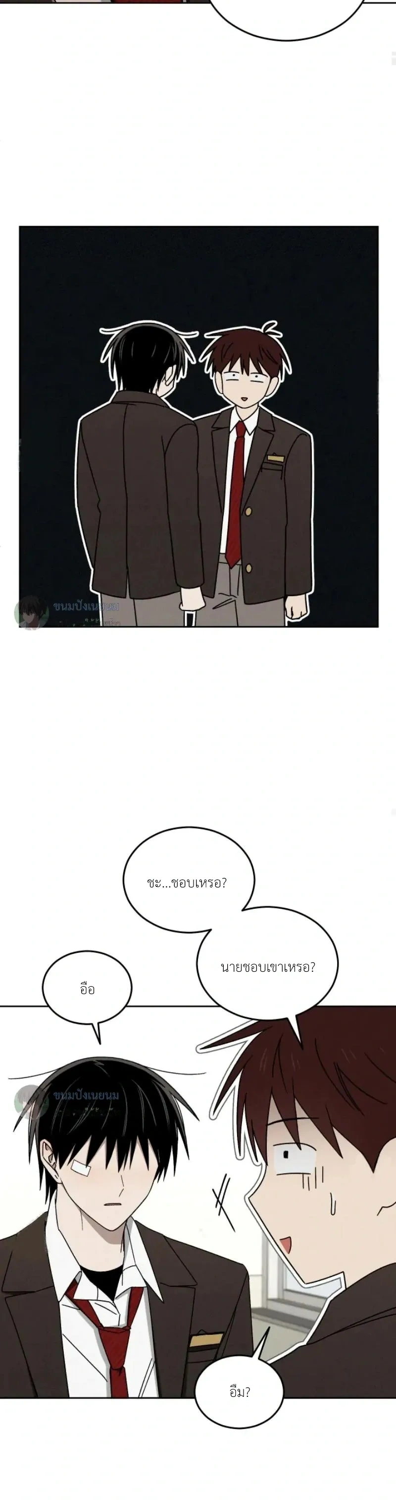 หน้าที่ 20