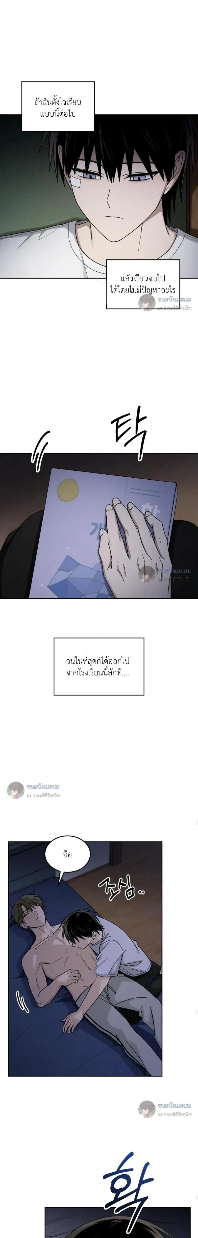 หน้าที่ 13