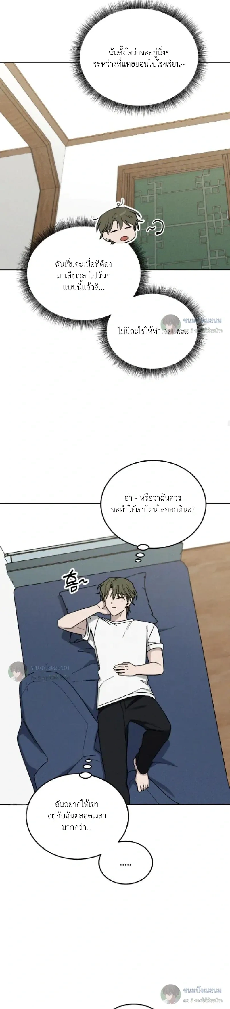 หน้าที่ 13