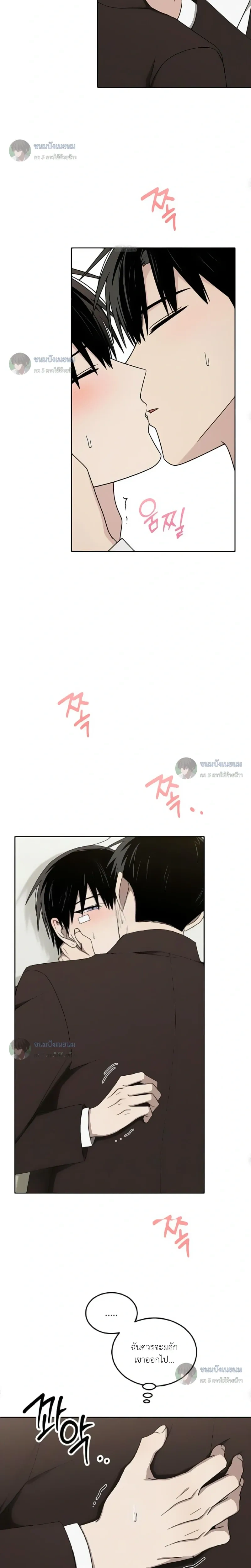 หน้าที่ 13