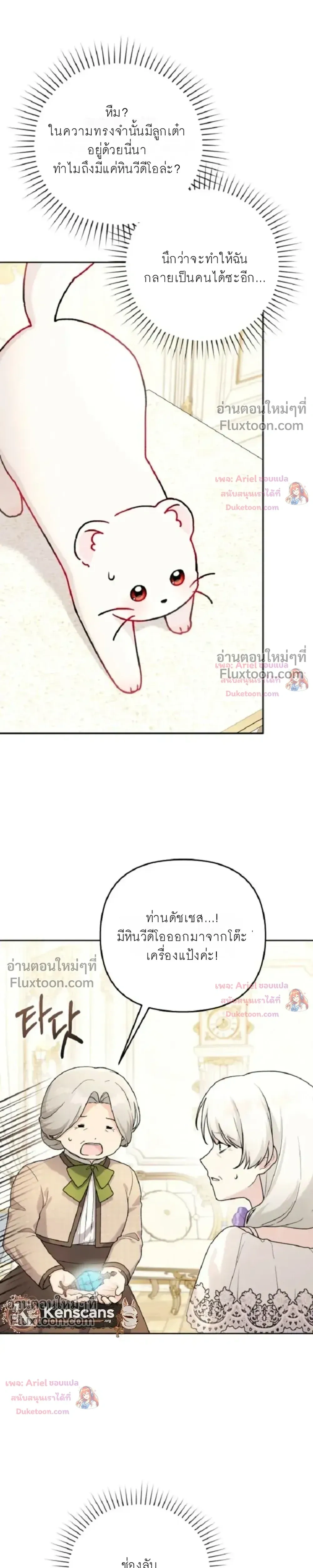 หน้าที่ 13