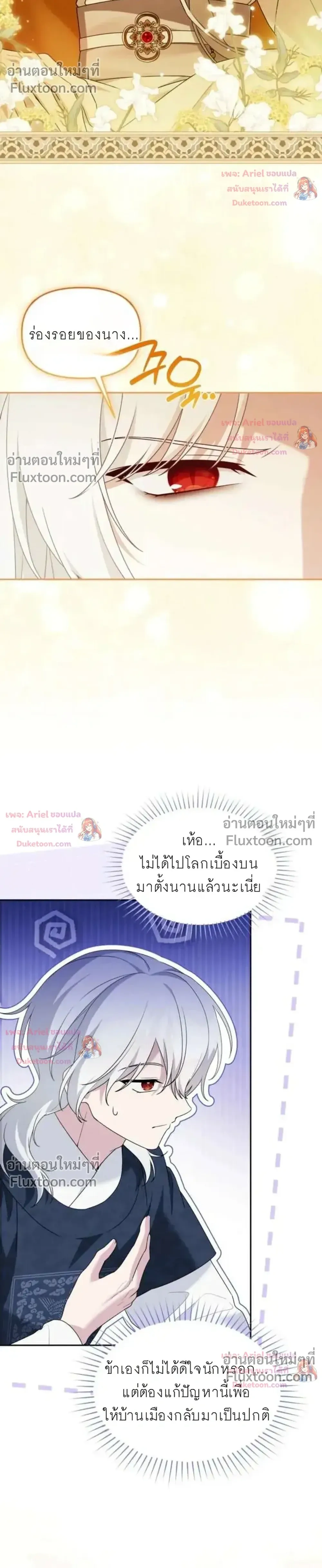 หน้าที่ 17