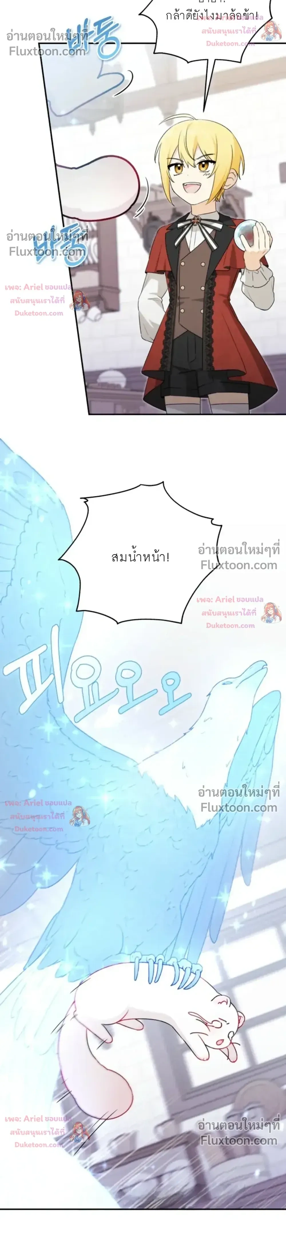 หน้าที่ 24