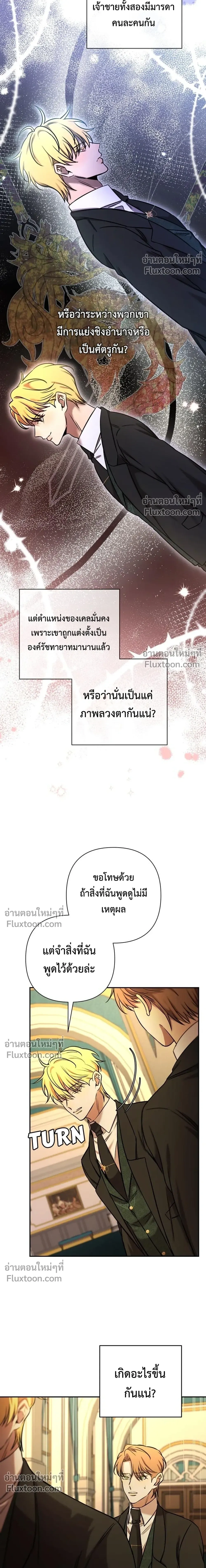 หน้าที่ 13