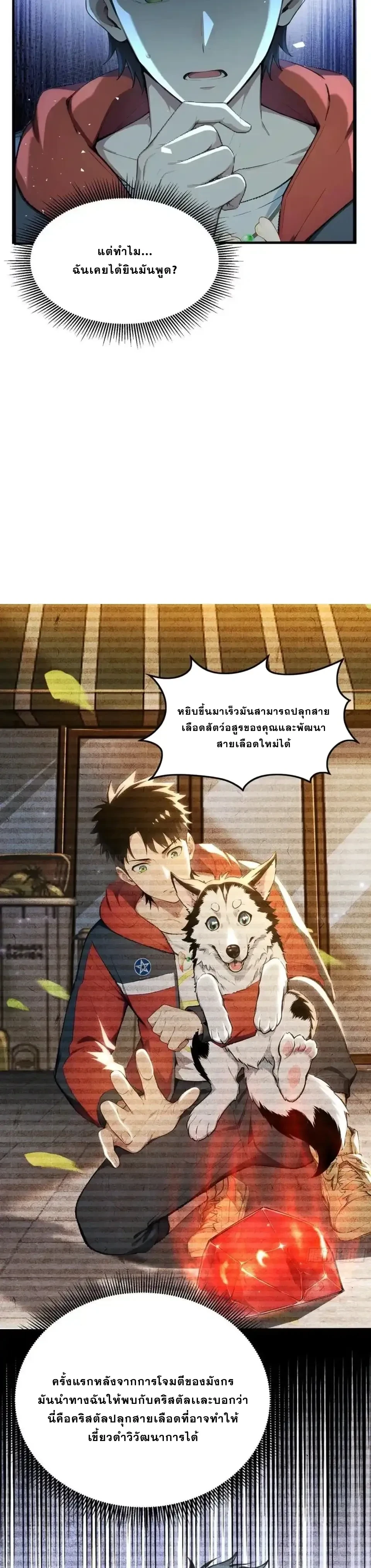 หน้าที่ 15