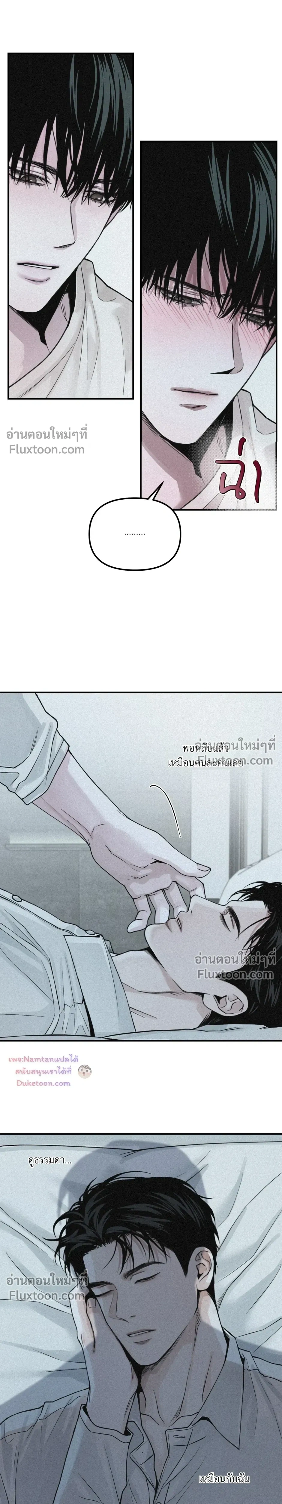หน้าที่ 13