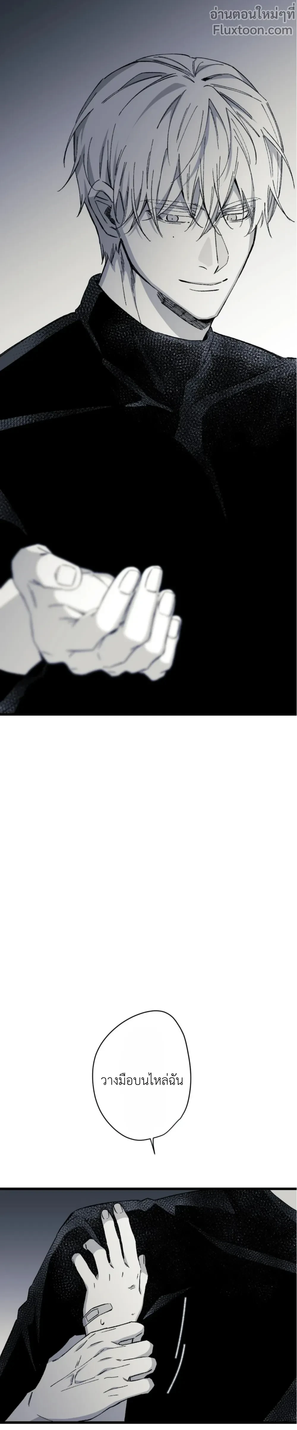 หน้าที่ 13