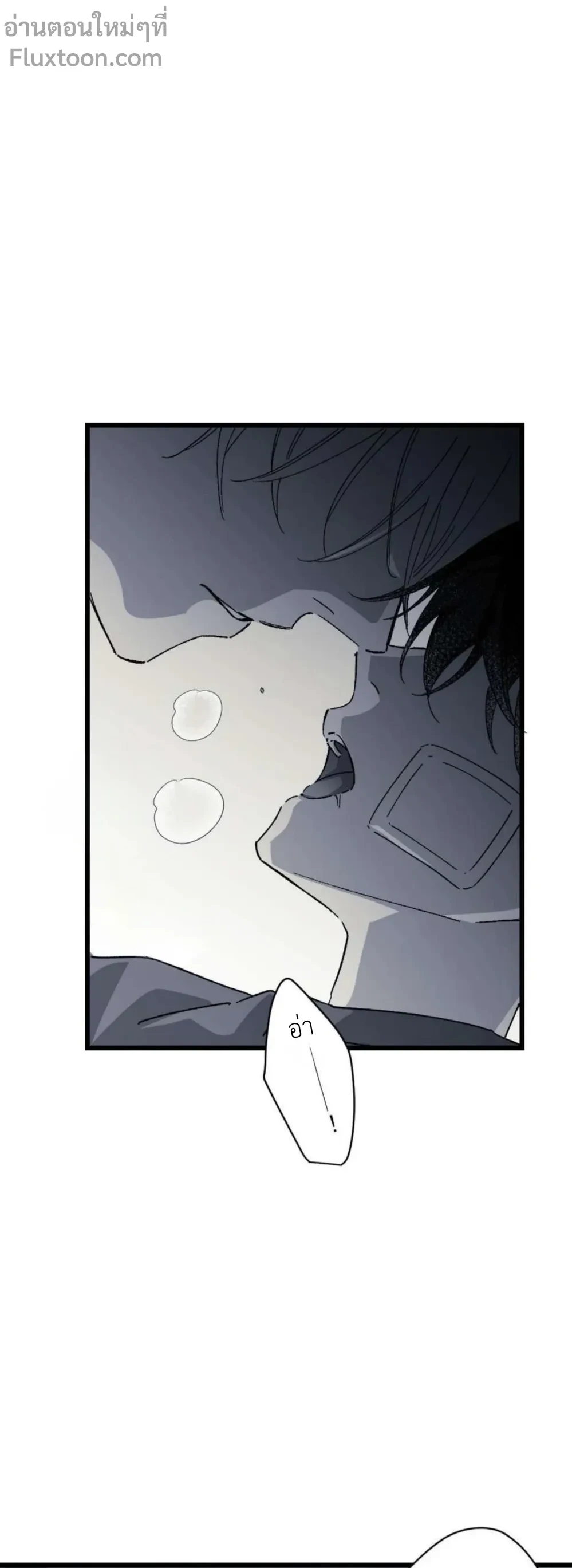 หน้าที่ 31