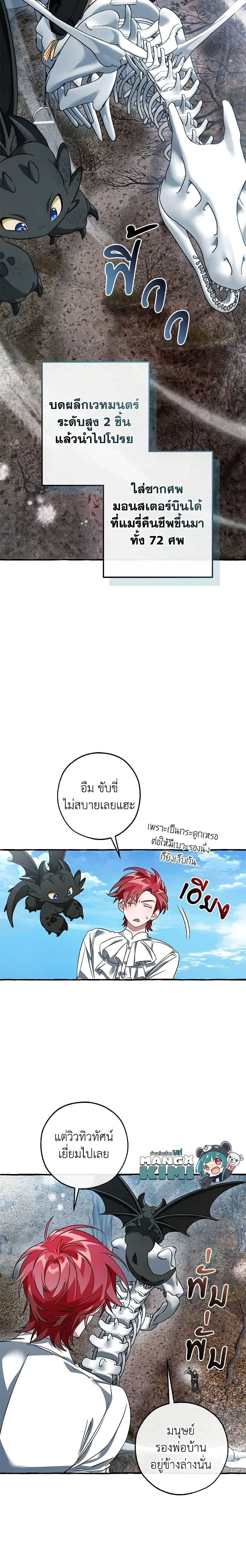 หน้าที่ 13