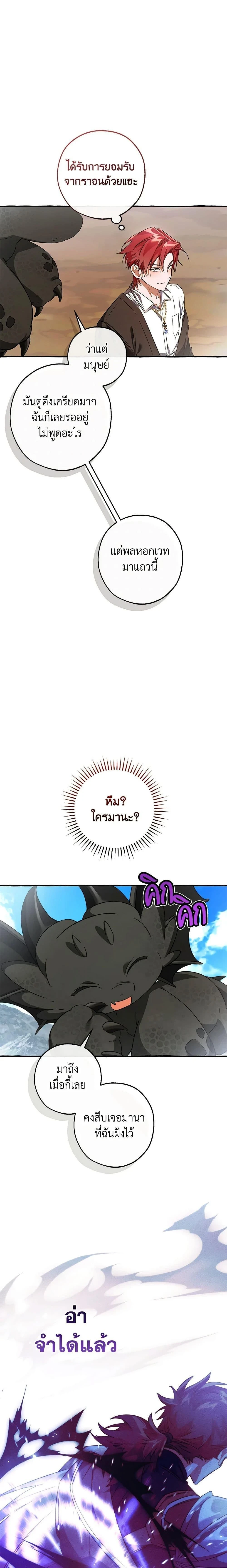 หน้าที่ 21