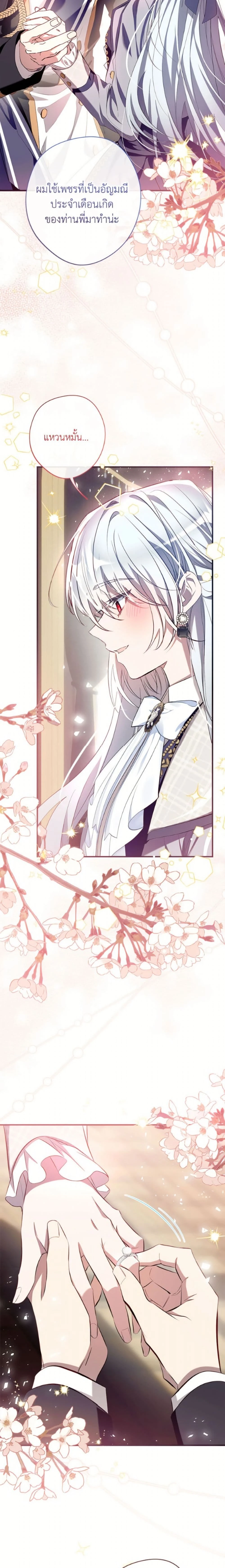 หน้าที่ 17