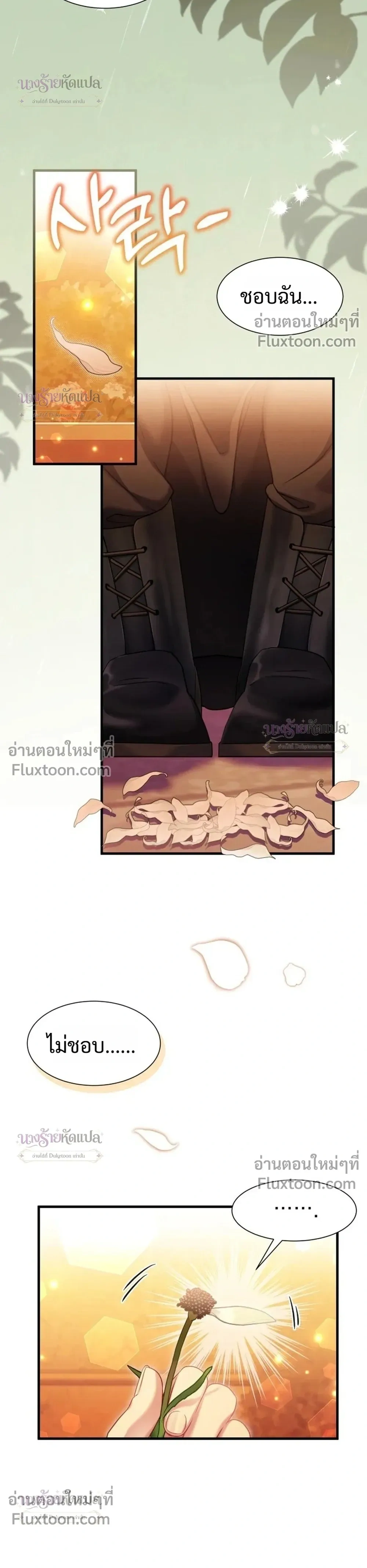 หน้าที่ 28