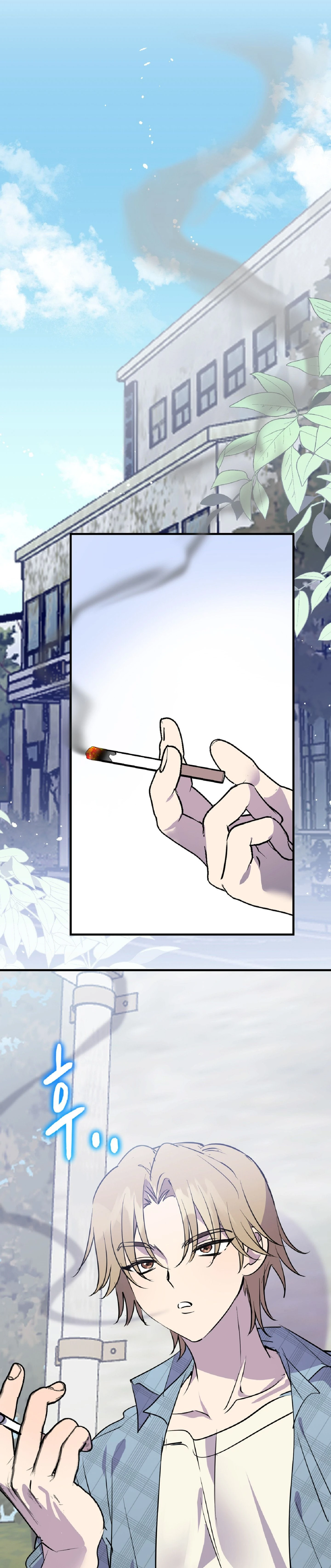 หน้าที่ 17