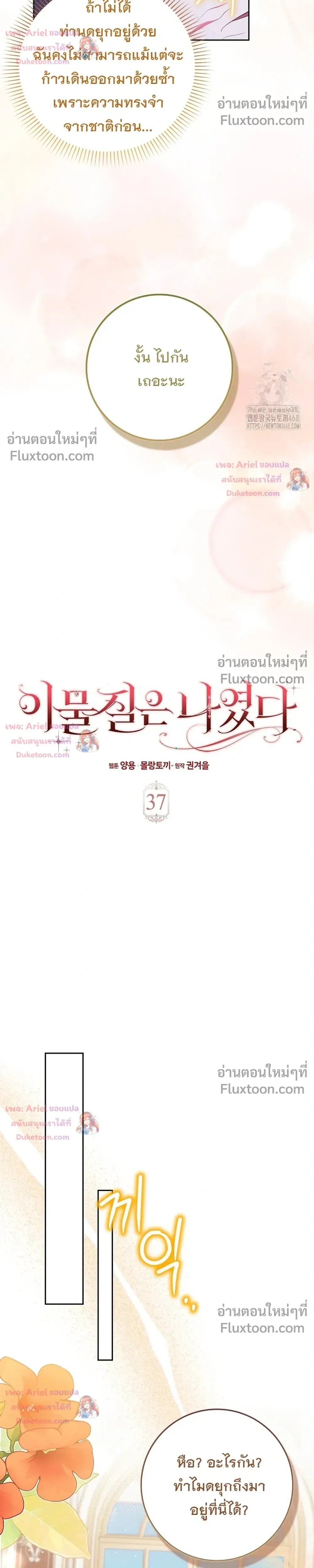 หน้าที่ 13