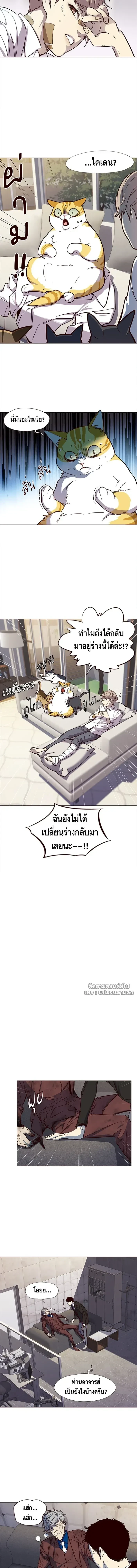 หน้าที่ 11