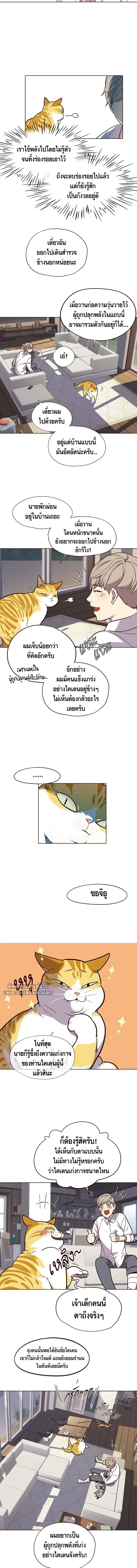 หน้าที่ 7