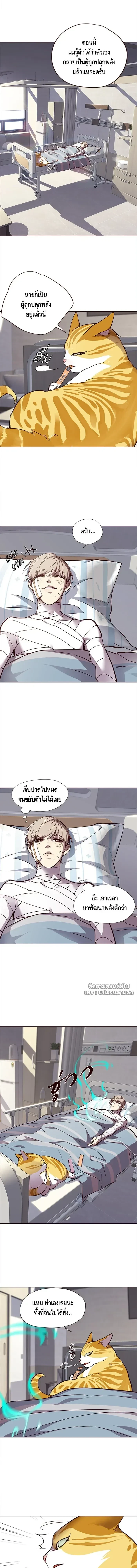 หน้าที่ 3