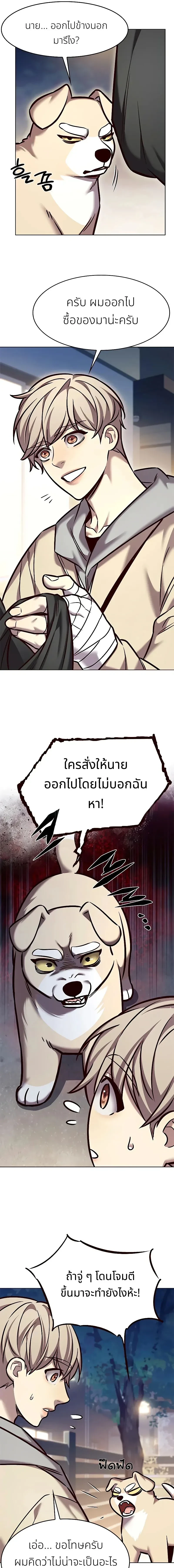 หน้าที่ 13