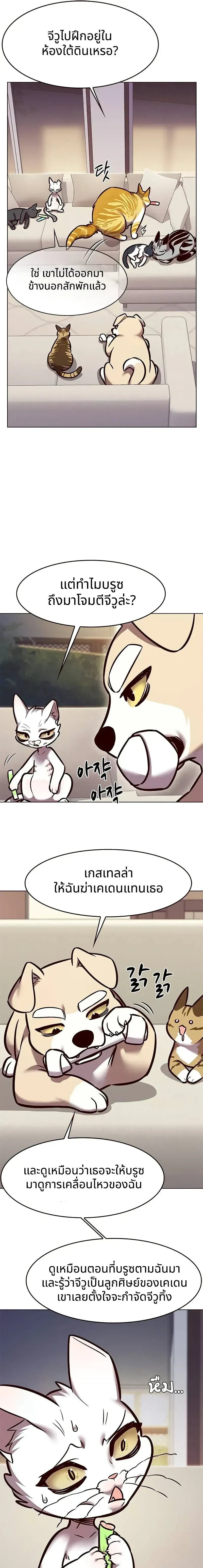 หน้าที่ 17