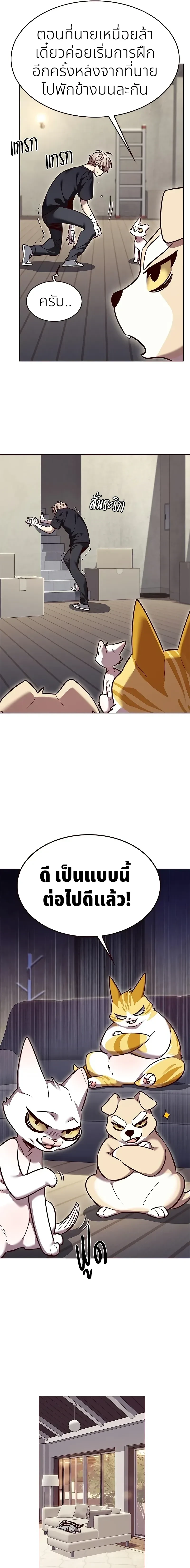 หน้าที่ 11