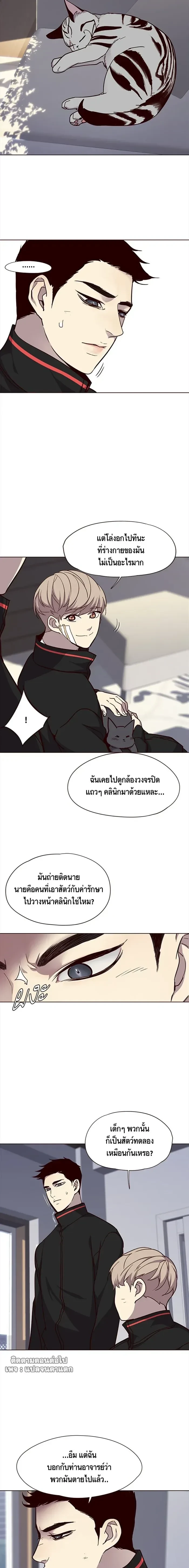 หน้าที่ 11