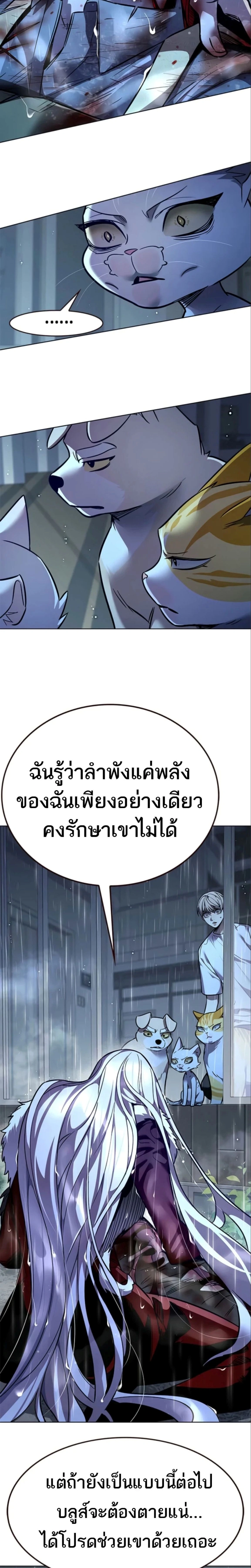 หน้าที่ 29