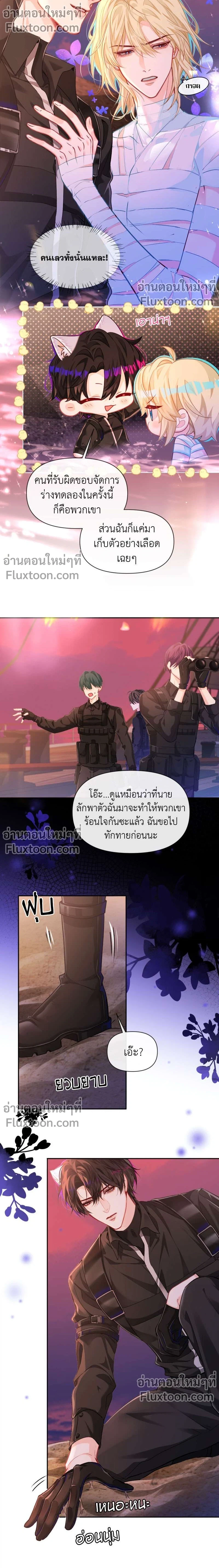 หน้าที่ 3