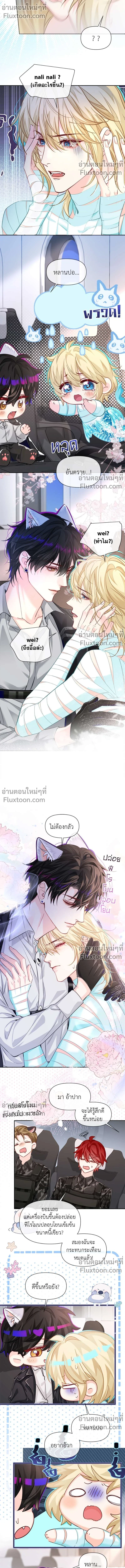 หน้าที่ 8
