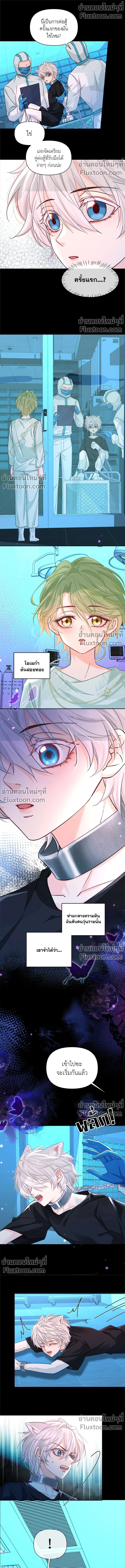 หน้าที่ 4