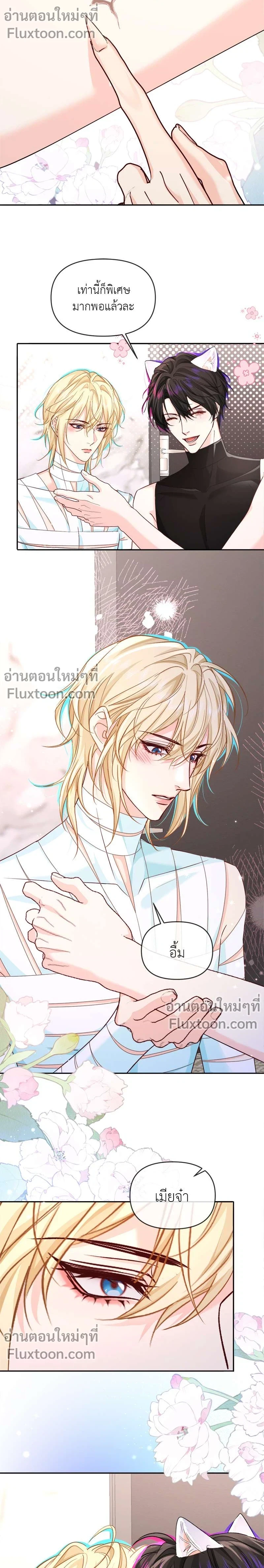 หน้าที่ 3