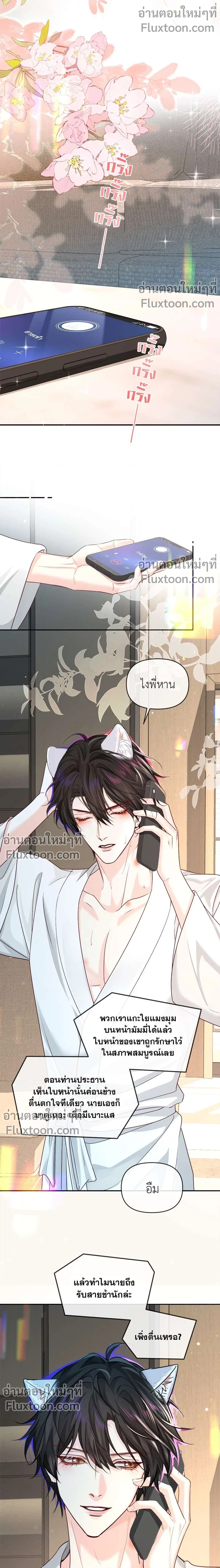 หน้าที่ 3