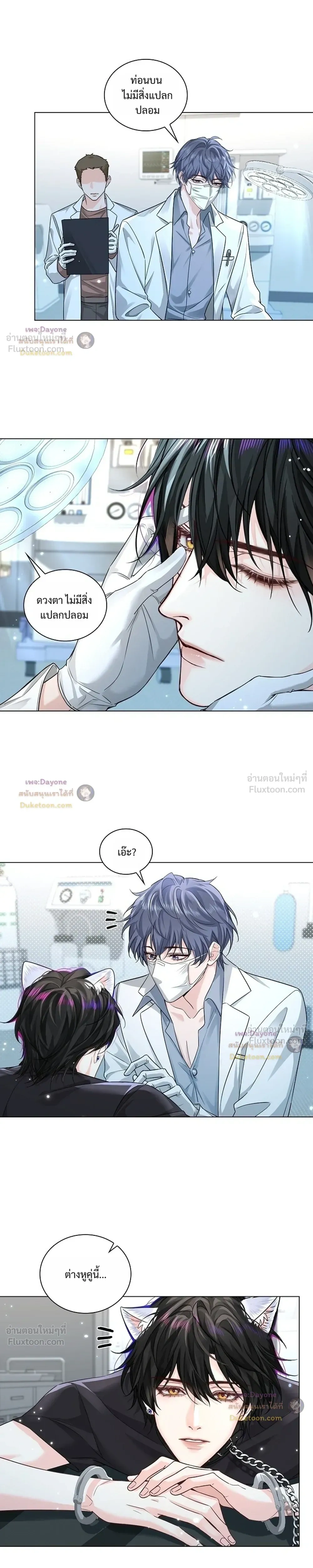 หน้าที่ 11