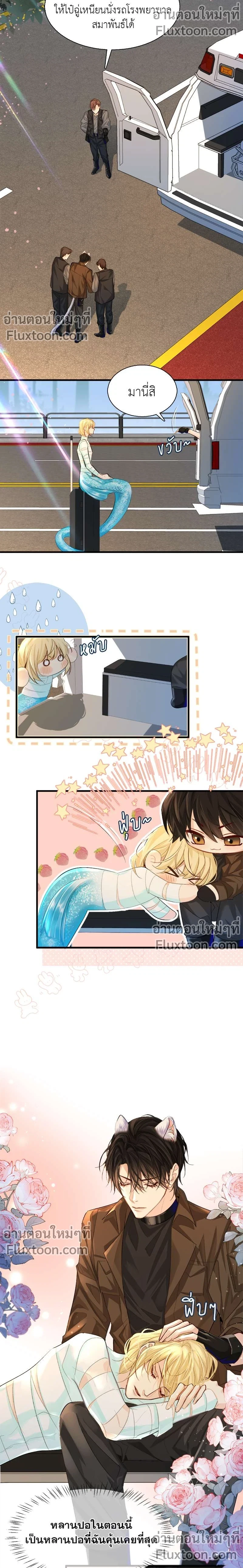 หน้าที่ 3